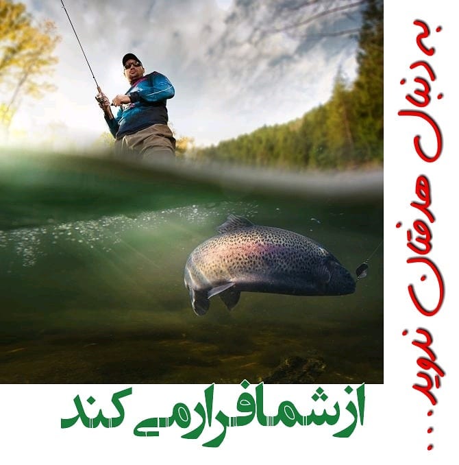 سیمرغ 16: به دنبال هدفتان ندوید چون از شما فرار می‌کند!