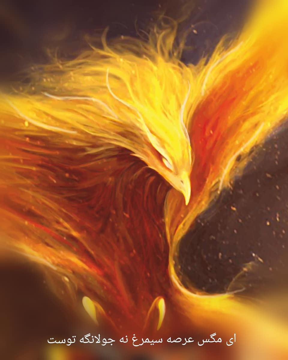 سیمرغ 80: سیستم فکری و باوری ما کنشگر است نه واکنشگر