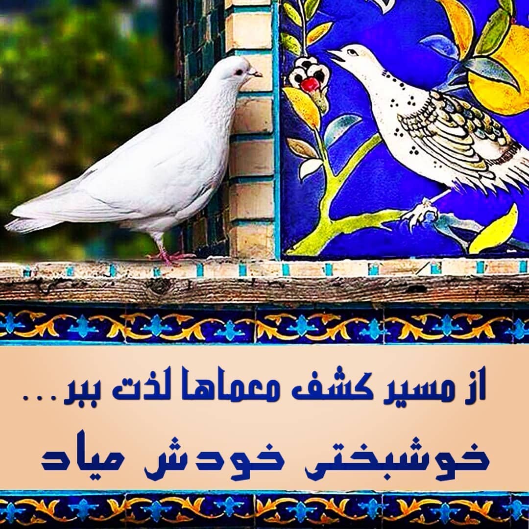 سیمرغ 17: از معماهای زندگی لذت ببر تا نتایج خودشون بیان!