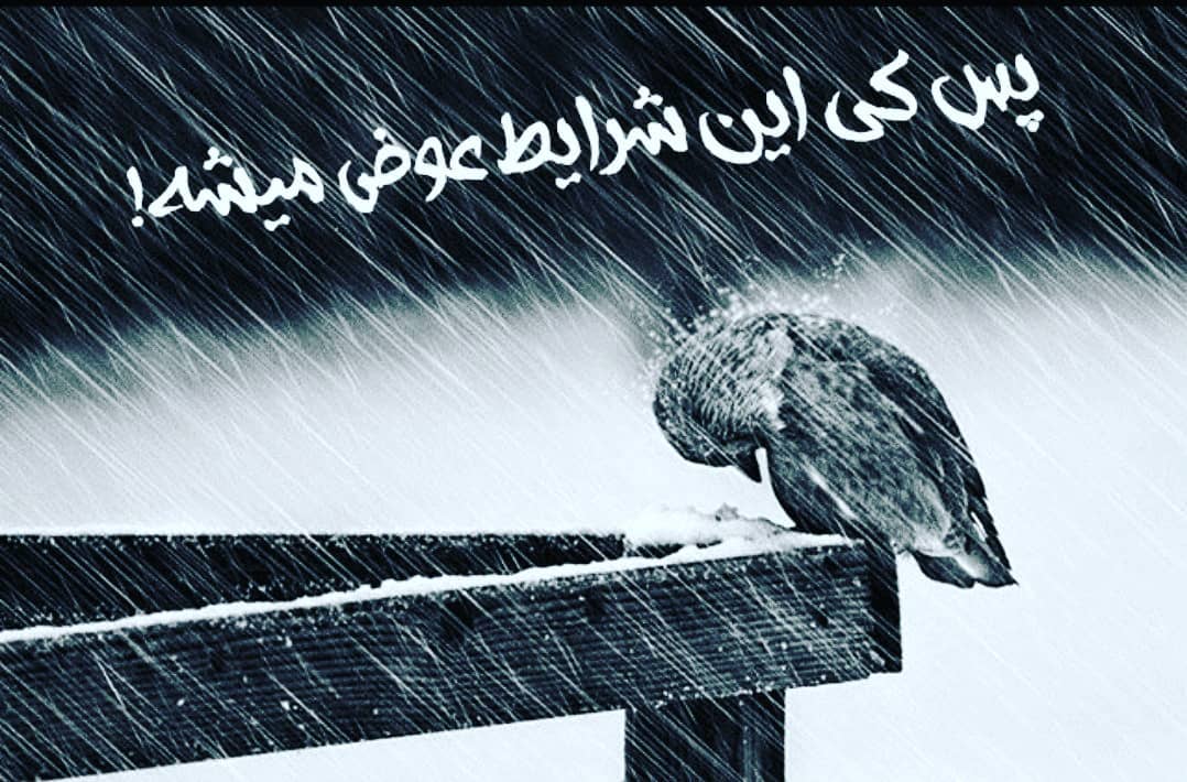 سیمرغ 51: پس کِی این شرایط عوض میشه؟