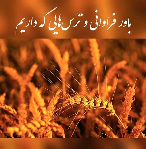 سیمرغ 29: باور به فراوانی