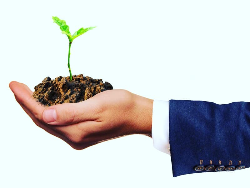 سیمرغ 145: کاشت، داشت، برداشت خواسته‌هامون